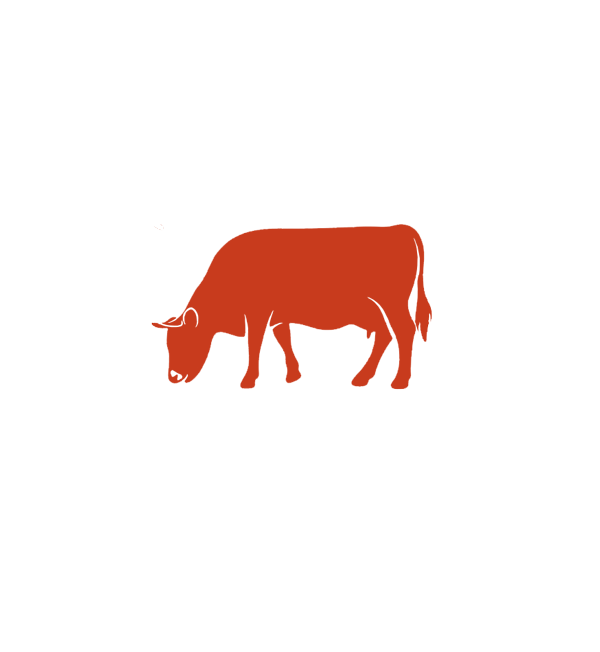 赤身肉ステーキダイナー アカウシ 東三国
